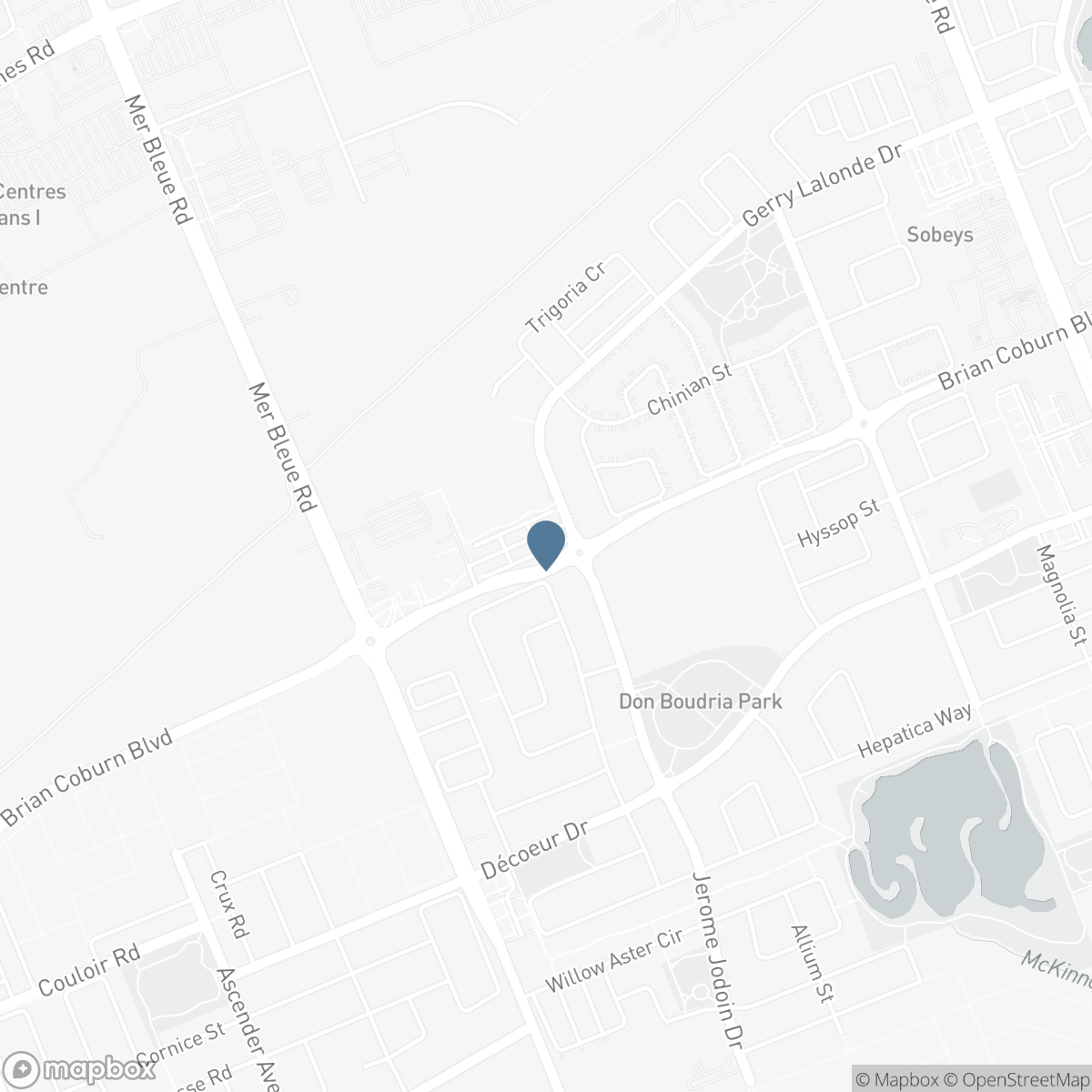 218 CHAPERAL PRIVATE, Ottawa, Ontario K4A 0Y2